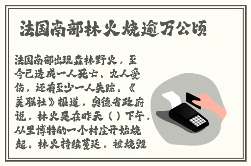柚子猫情人节的礼物