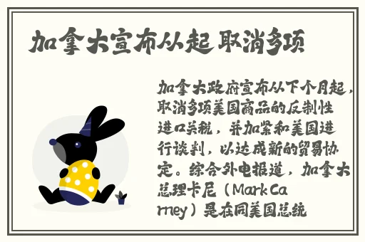 daisy小雏菊系列